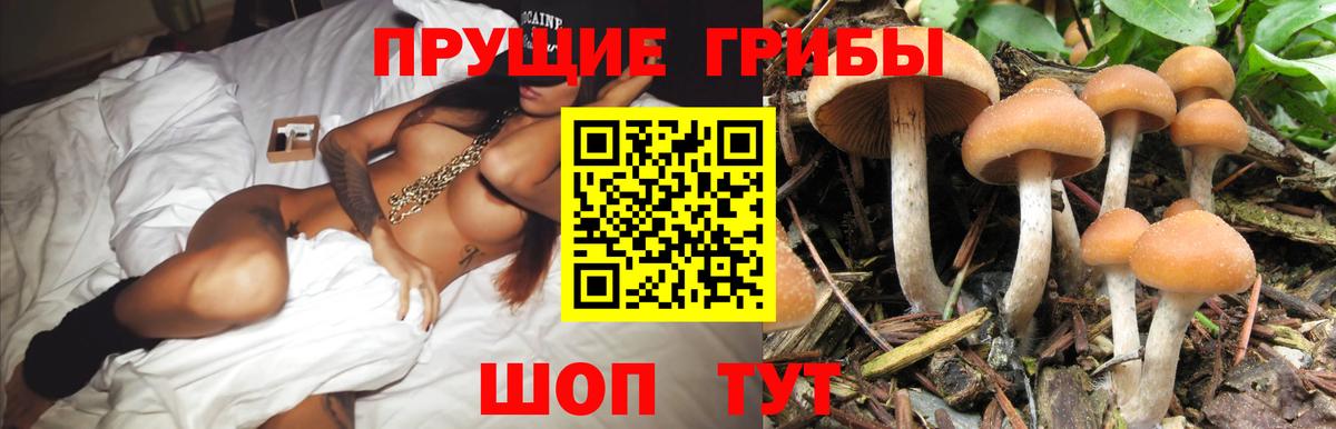 Псилоцибиновые грибы прущие грибы Миллерово