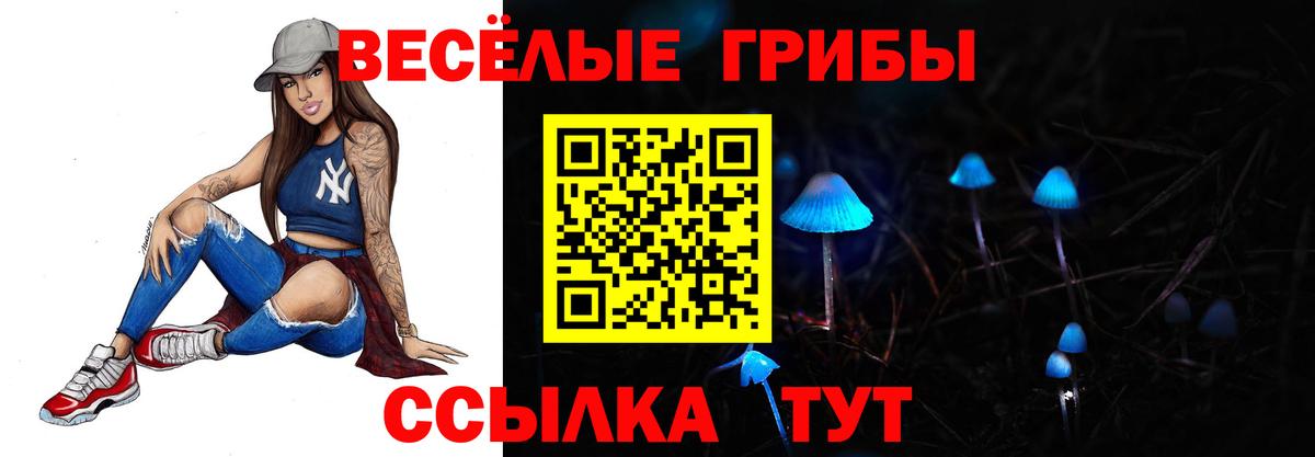 Псилоцибиновые грибы Cubensis  Галлюциногенные грибы Cubensis  Миллерово  Вход с VPN 